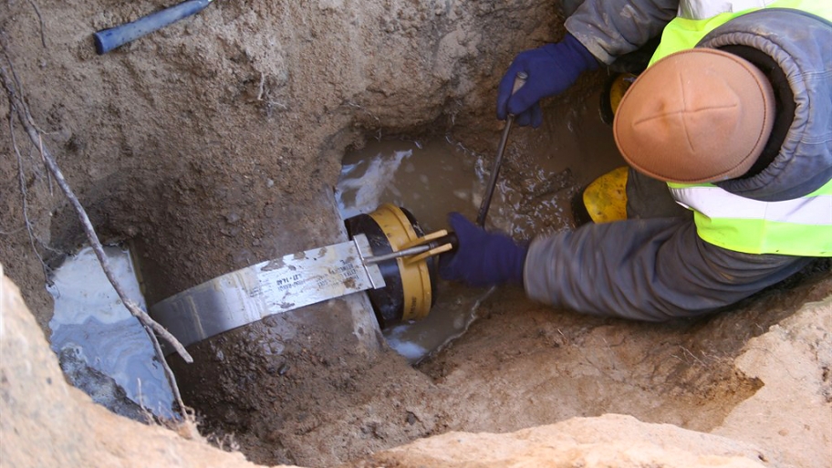 7 - tree-root-pipe_30763 7 - tree-root-pipe_30763
